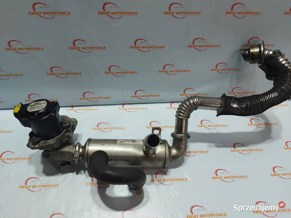 MAZDA 3 FORD 16 CITD Y6 7M5Q6007FB 110 Kielce