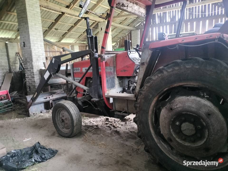 Ciągnik Massey Ferguson