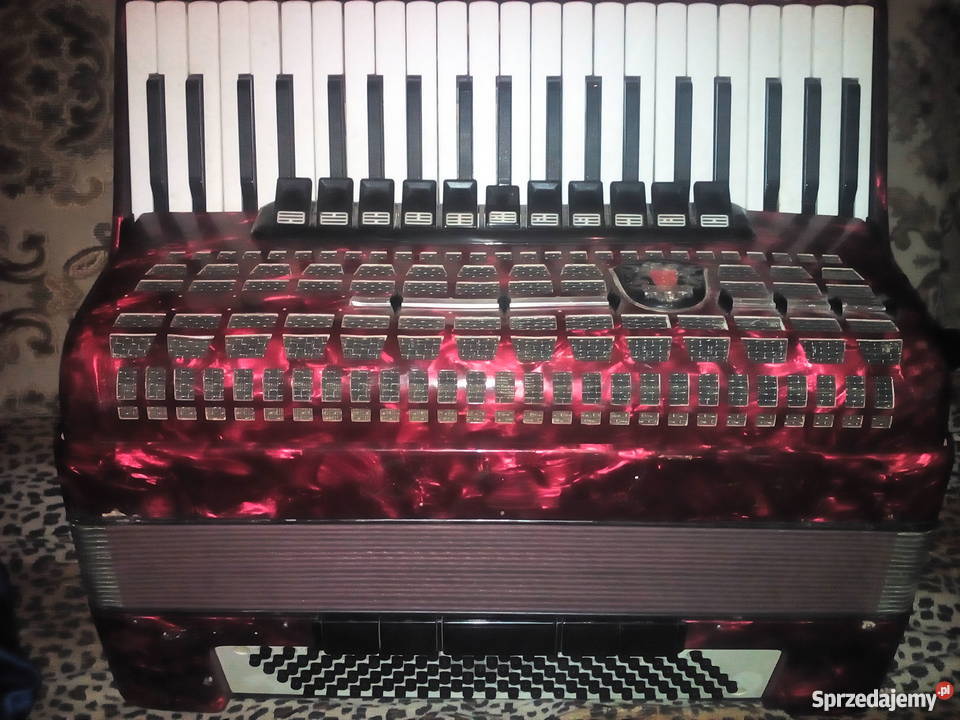 Akordeon Royal Standard Meteor 120 basów