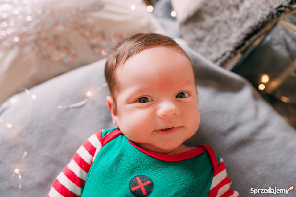 MINI sesja świąteczna 190 Warszawa