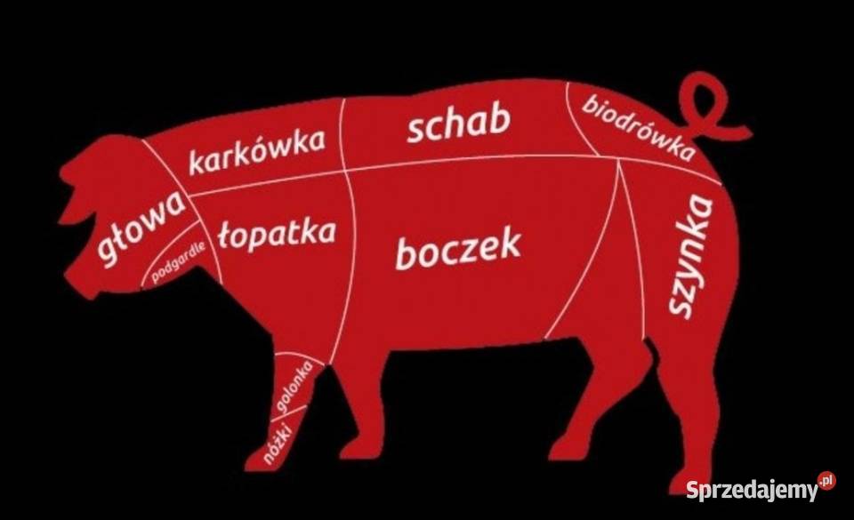 Zdrowe naturalne mięso WIEPRZOWINA ROLNIKA Mięso surowe Radomsko