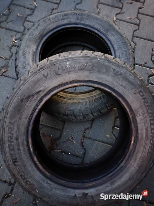 Opony wielosezonowe 14 185