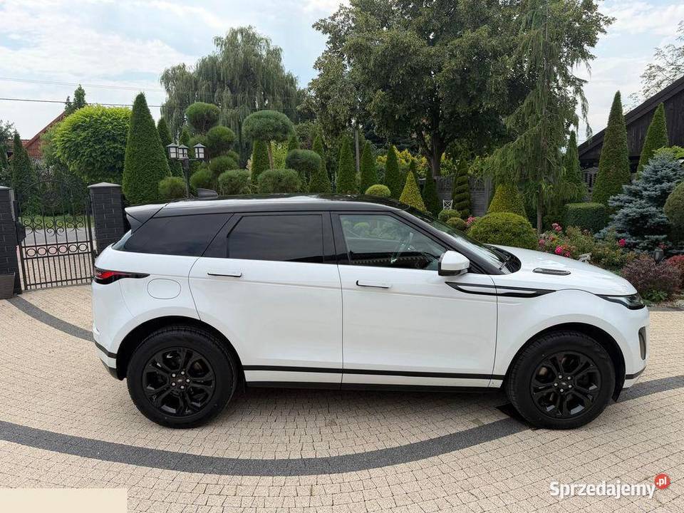 Land Rover Range Rover Evoque 20 P200 mHEV 200 Krotoszyn