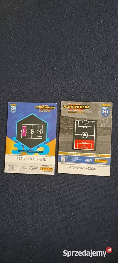 Karta panini Rzeszów