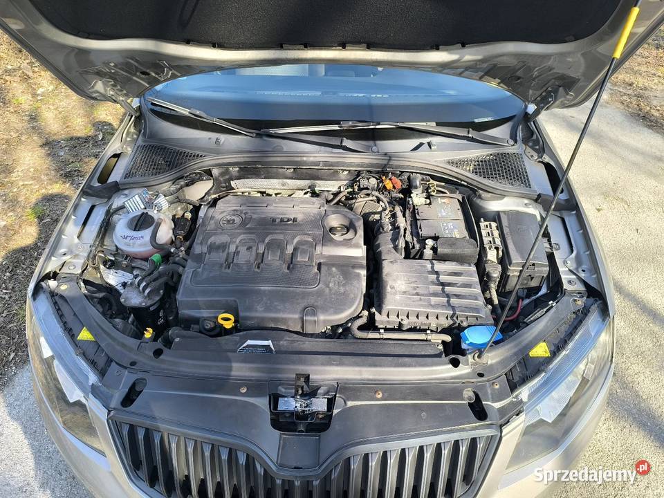 Octavia III 20 TDI DSG Salon kombi 2000cm3 Kielce