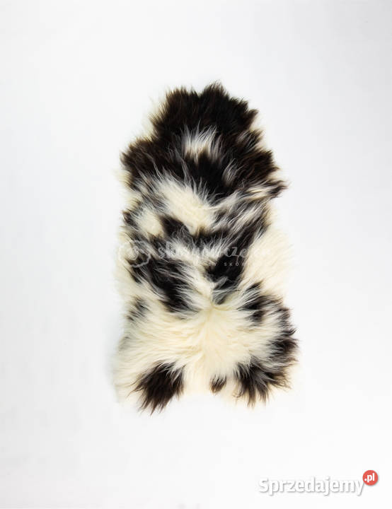 Skóra owcza naturalna jacobs Rozmiar S Szaflary