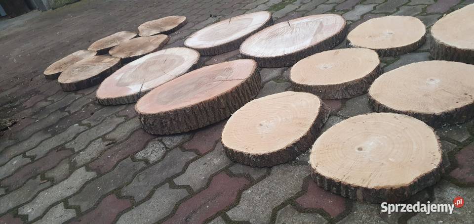 Plastry drewna Pakość