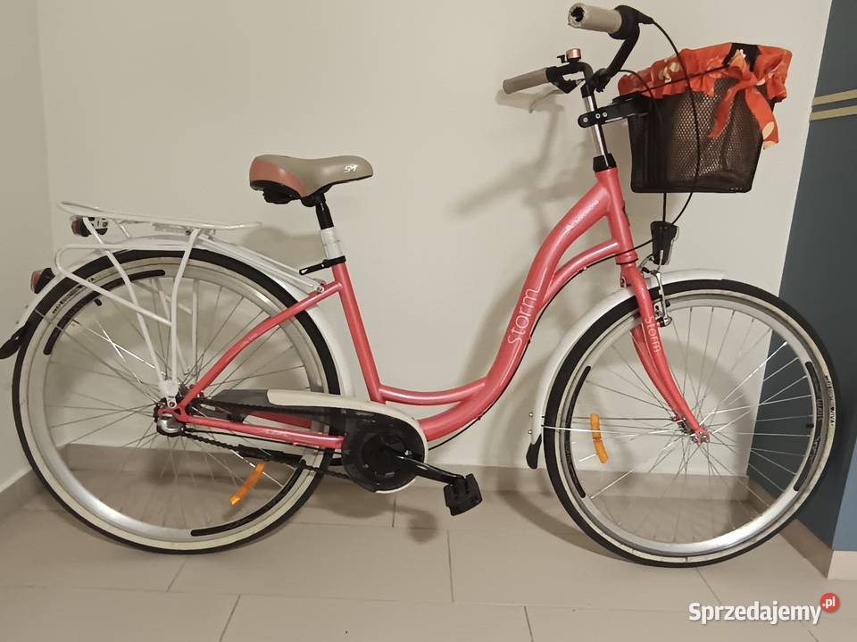 Damka 28 stan Pruszcz Gdański