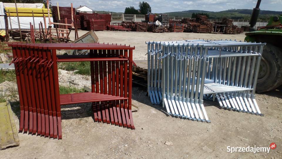 Kozioł budowlany Kobyłka malarska Koziołek lubuskie Lubsko