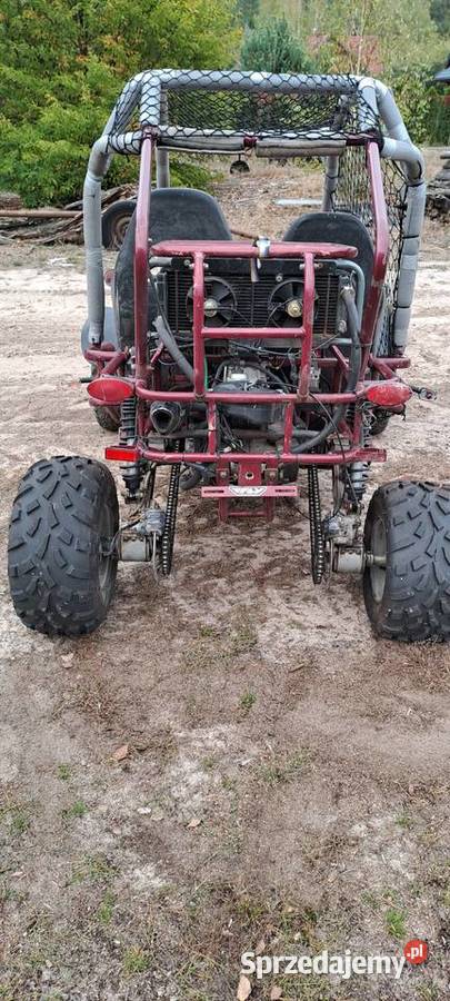 Buggy 250 Aeon Warka