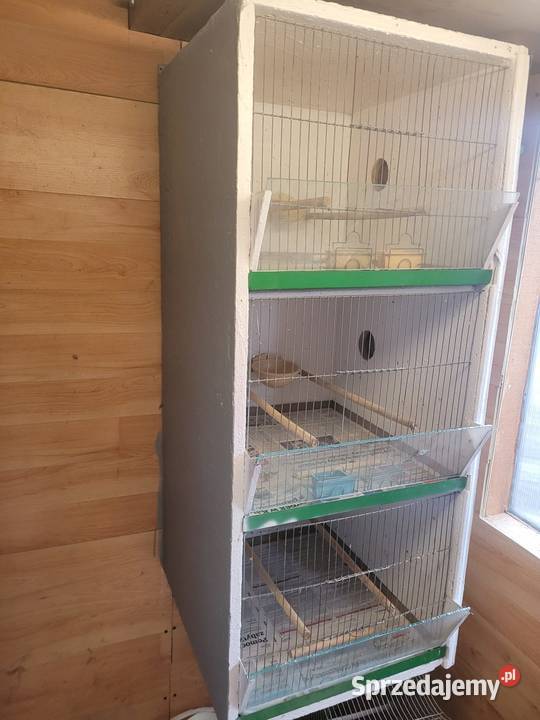 Klatki regały Kanarków śląskie Łaziska Górne