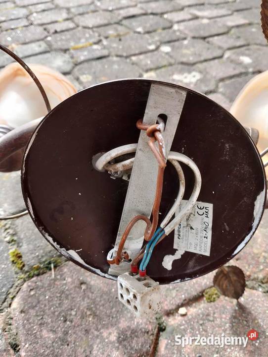 sprzedam lamy podkarpackie Przedmieście Czudeckie