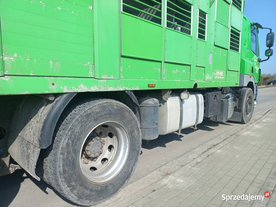 Daf CF 85410 6X2 do żywca i trzody chlewnej 3 diesel podkarpackie Mielec