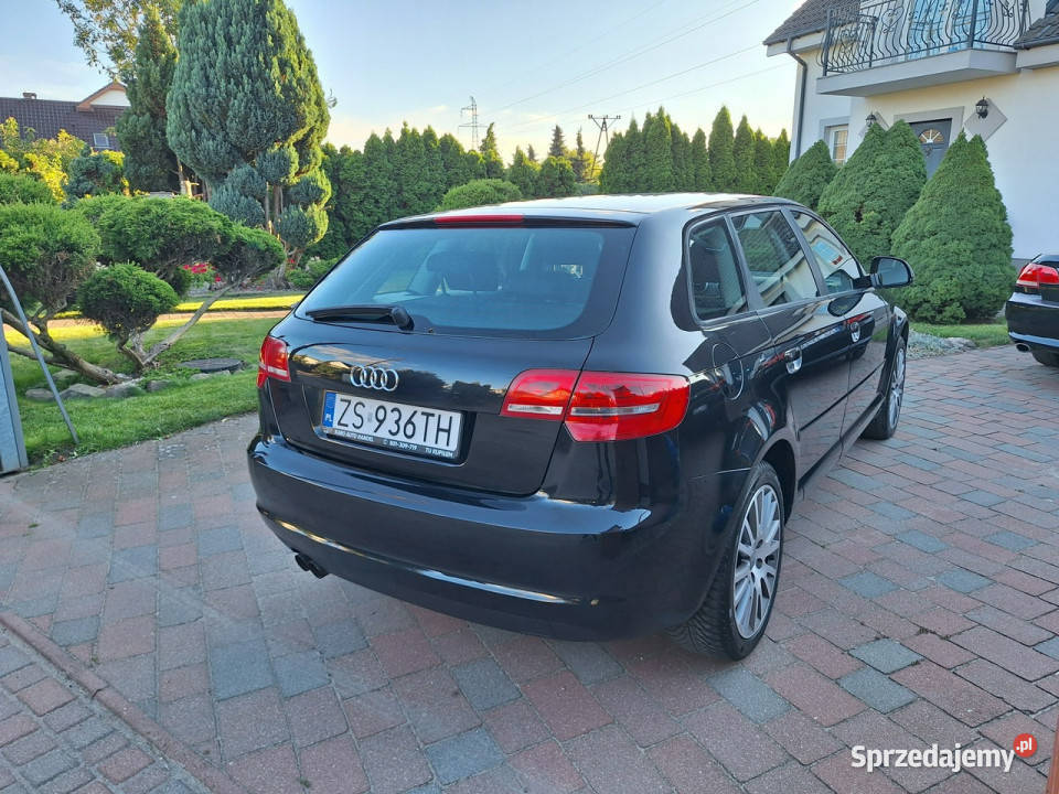 Audi A3 Sportback Klimatronik Serwisowany Stan A3 Załom