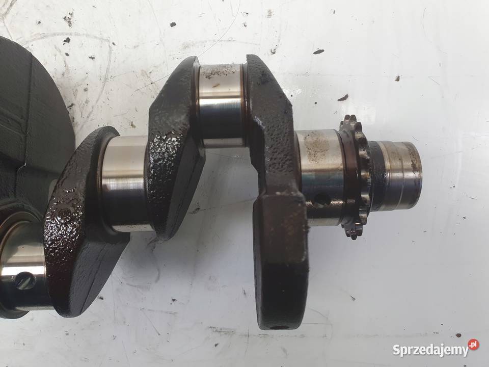 Seat Leon II 16 8V WAŁ KORBOWY DA50857 Rudka sprzedam