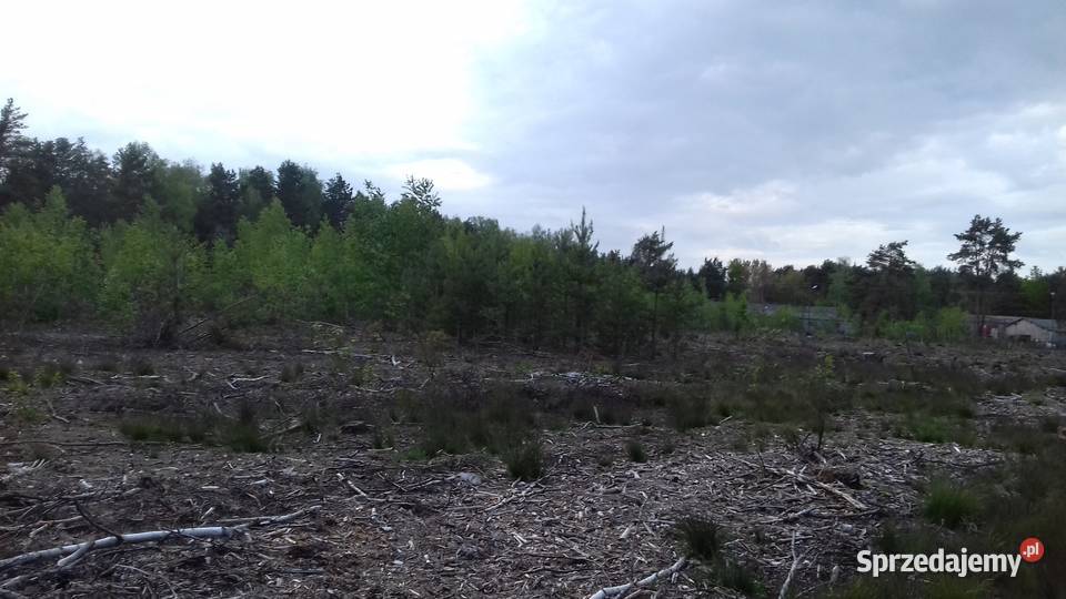 Sprzedam działkę przemysłową 17500 m2 Białobrzegi