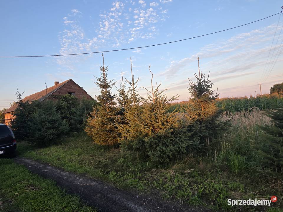 Sprzedam domsiedlisko Woj Łódzkie 99107 110m2 łódzkie Łubno