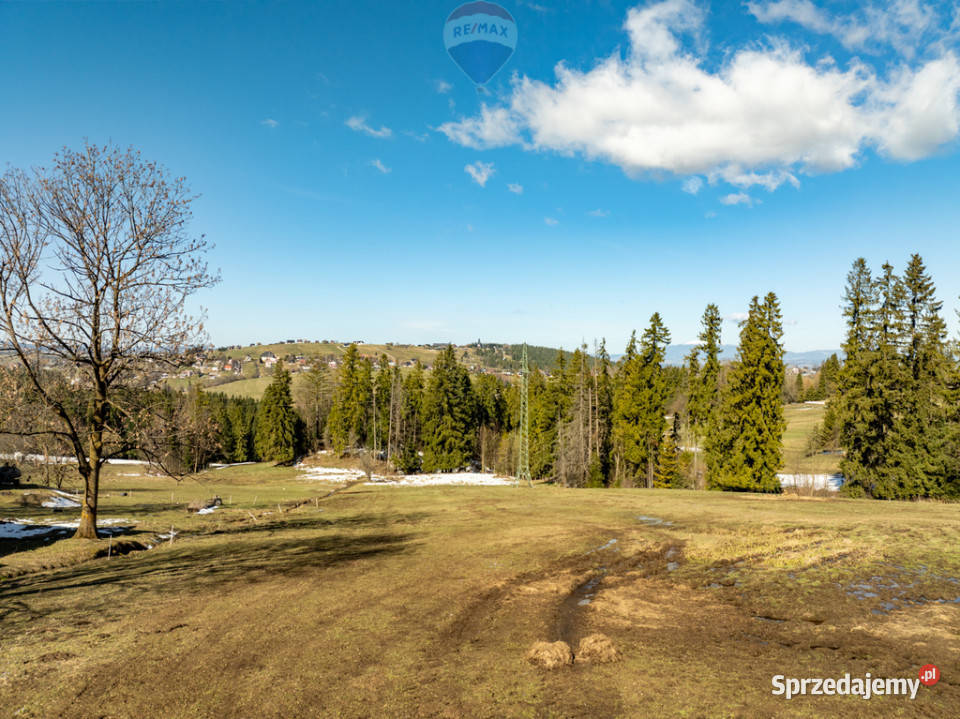 Sierockie działka 5901m2 WZtka 4 domy Grunty i działki małopolskie