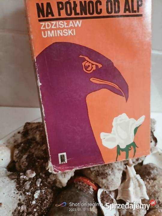 Na północ Alp Umiński książki Warszawa
