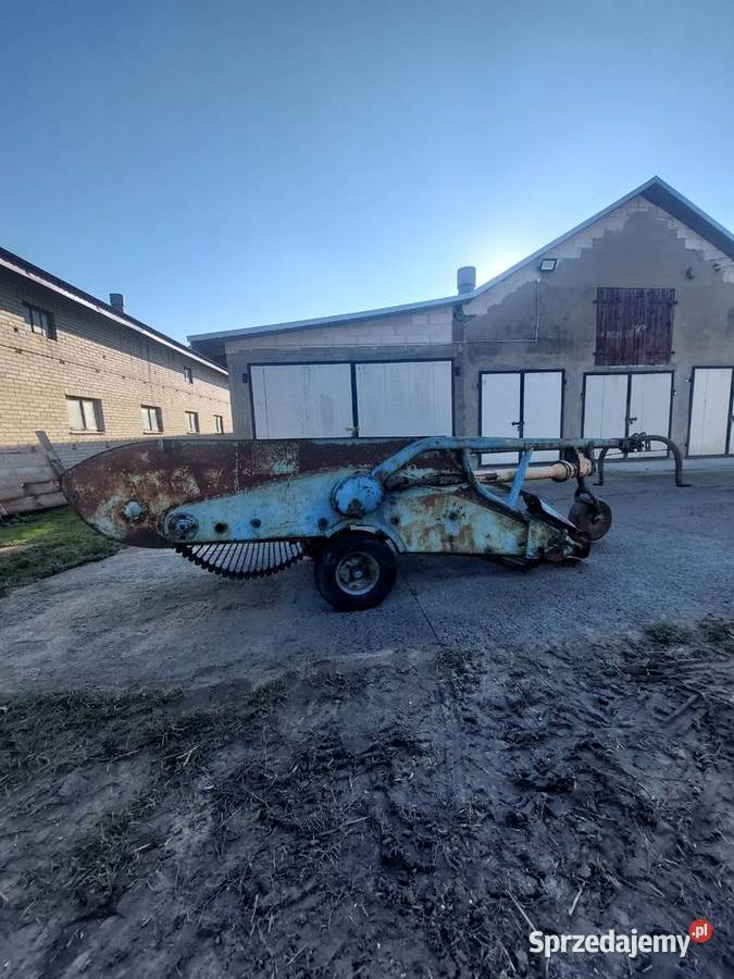 Kopaczka elewatorowa do ziemniaków Łosice