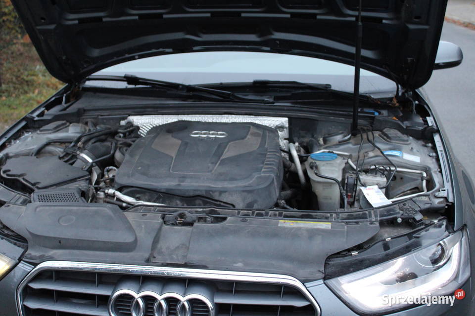 Audi A4 B8 diesel 163 ESP Toruń