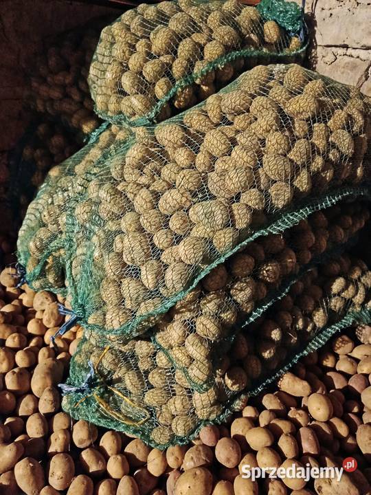 Ziemniaki naturalne na Oborniku Delikatesy śląskie Rajcza