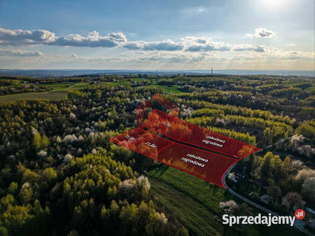 Grunt Kraczkowa 33000m2 podkarpackie