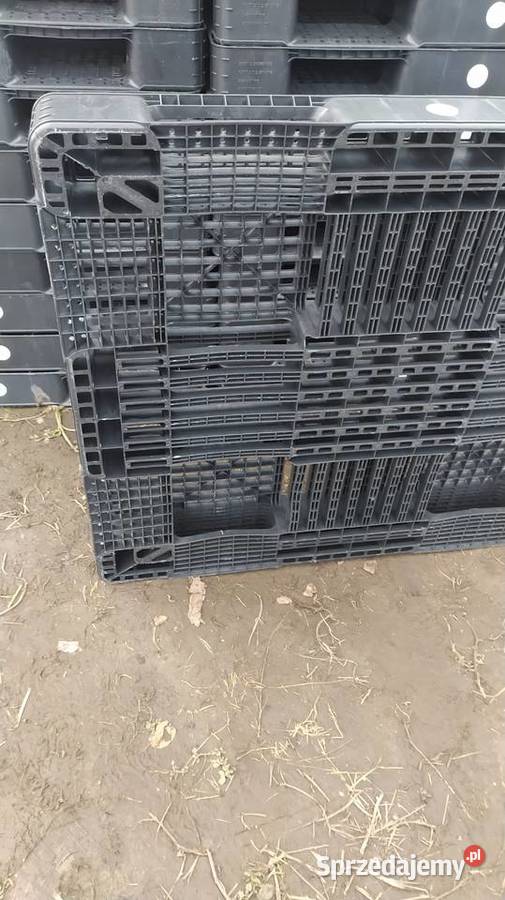 Palety plastikowe 130x110x13 Przeworsk sprzedam