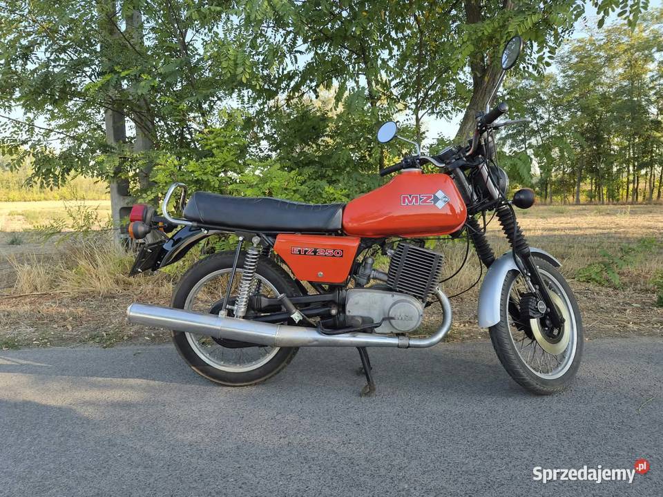 Mz