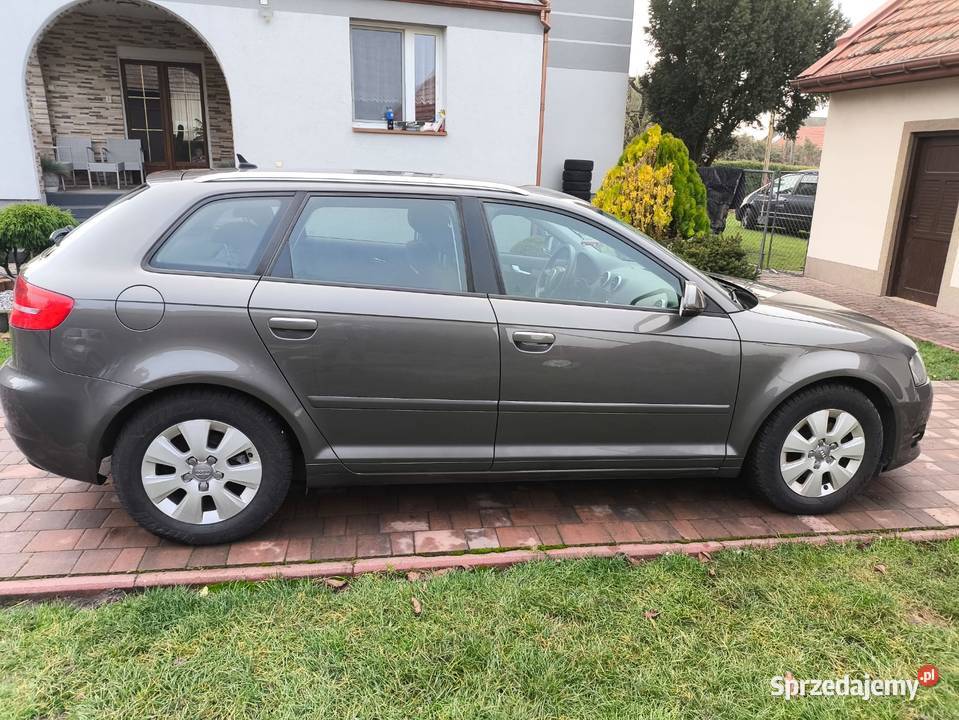 19 TDI 105 Diesel Nawigacja Klimatyzacja Zarejestrowany w Polsce Pińczów