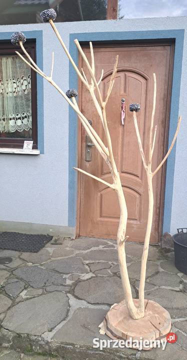 Wieszak stojący z konarów podstawa z drewna Czchów