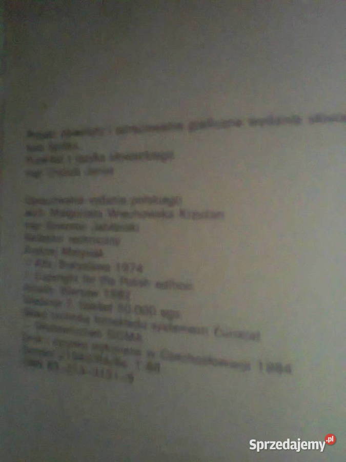 Agnieszka BuczkowskaFertała twarda Warszawa sprzedam