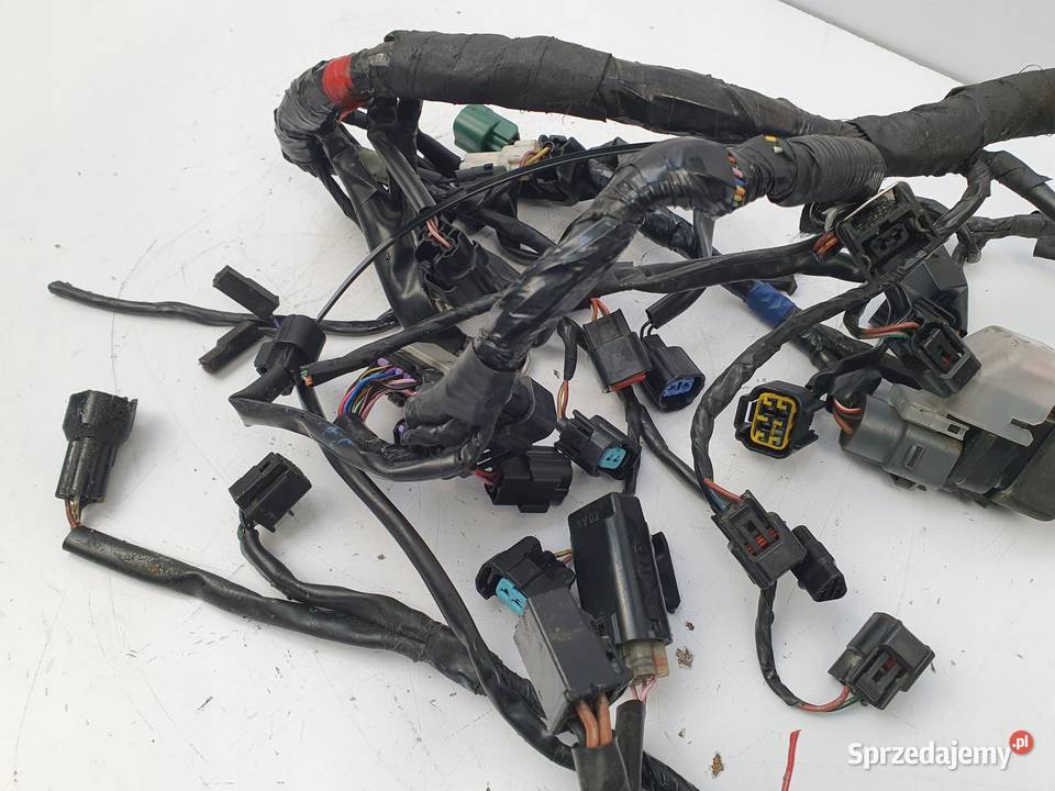 INSTALACJA WIĄZKA ELEKTRYCZNA Triumph Daytona R Chełm