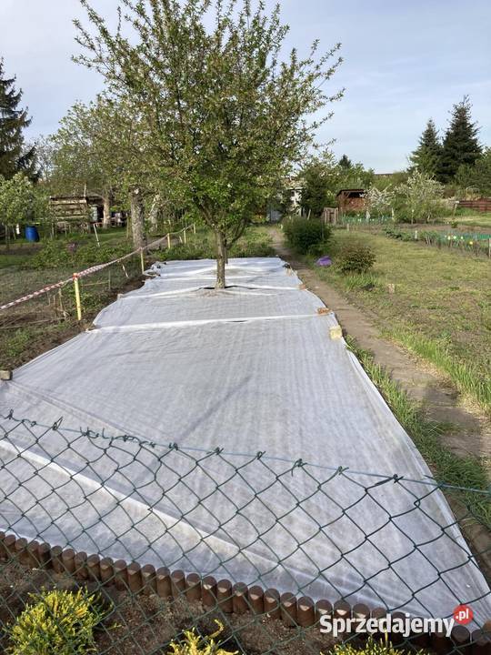 Odstąpię ROD Kolejarz dolnośląskie Wrocław