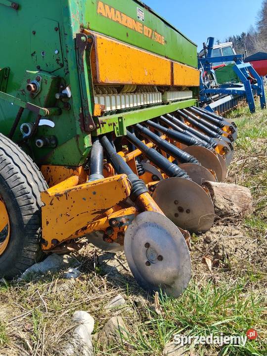 Amazone d7 30e talerzowy hydraulika full świętokrzyskie Jałowęsy