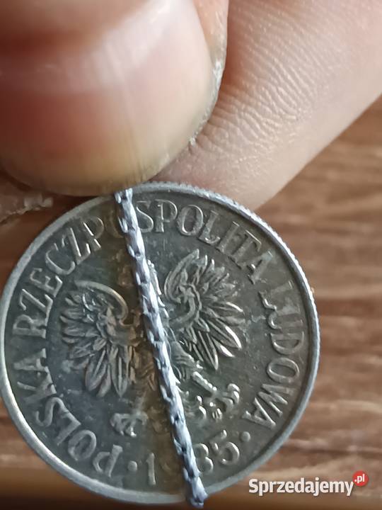 Sprzedam monetę 50 groszy 1985 mała skrętka Chełm