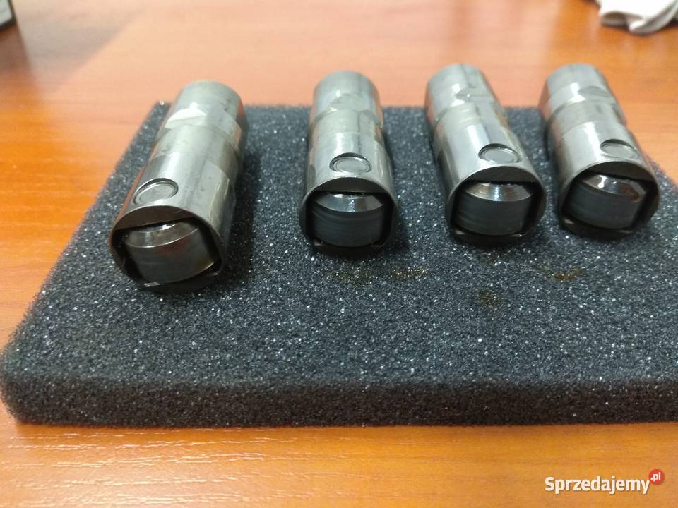 Harley Davidson Twin Cam POPYCHACZE liftery lubelskie