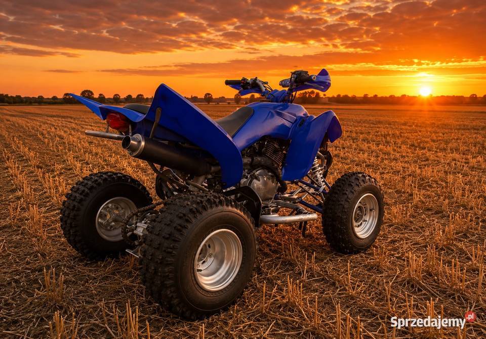 Yamaha Raptor 350