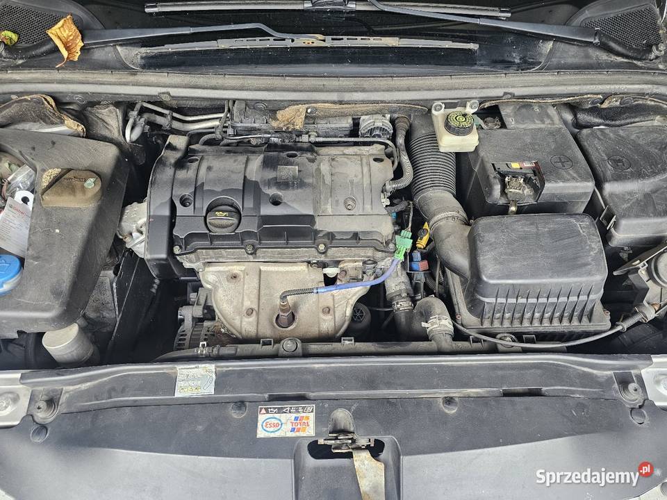 Peugeot 307 16 benzyna Chotynin