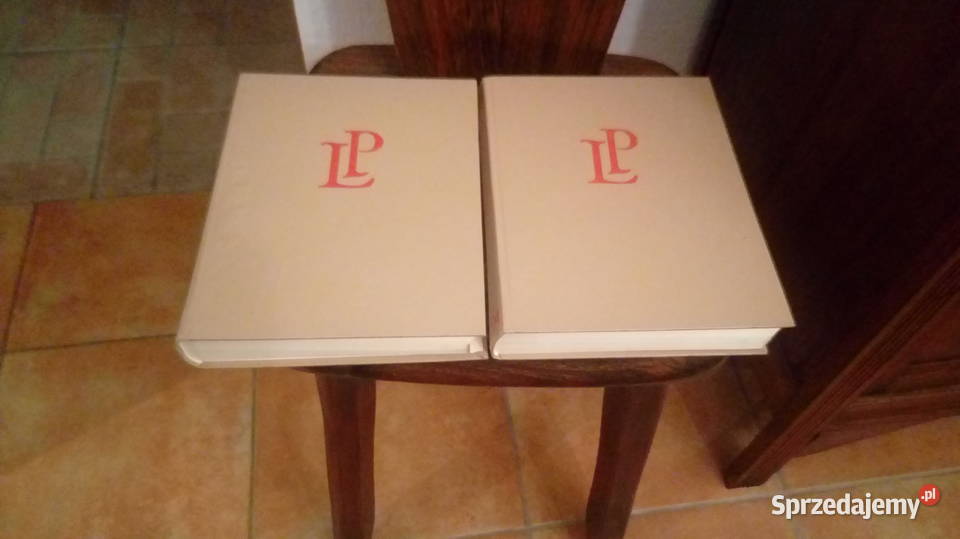 Literatura Polska PWN przewodnik encyklopedyczny Poznań sprzedam