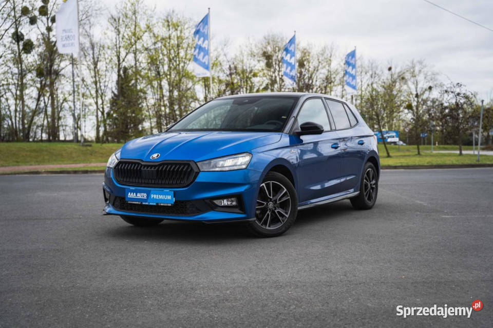Skoda Fabia 10 TSI
