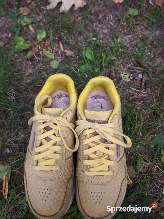 Buty sportowe Woden mazowieckie Warszawa