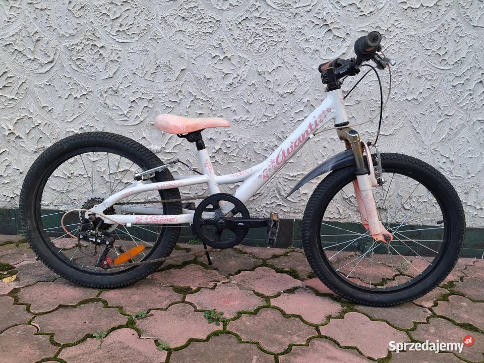 Rower dziecięcy 20 sprzedam