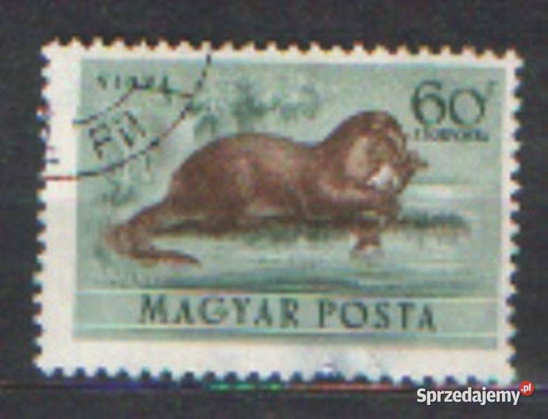 Zn Węgry Mi 1288 9 kas 1953 Filatelistyka śląskie Gliwice sprzedam