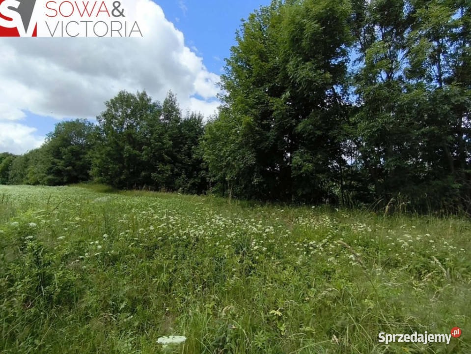 Działka rolna z dojazdem Sprzedaż Stare Bogaczowice