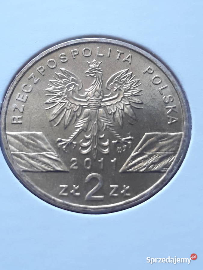 2 Borsuk 2011 rUNC Konin