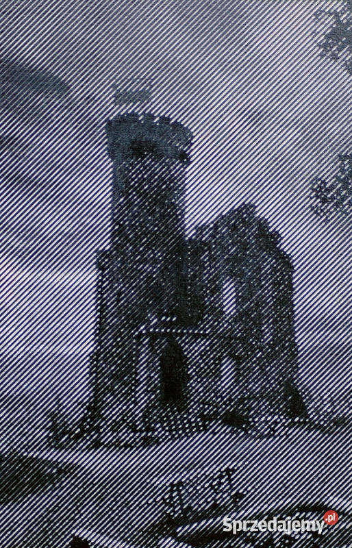 Twoje zdjęcie na sklejce portrety krajobrazy Jelenia Góra