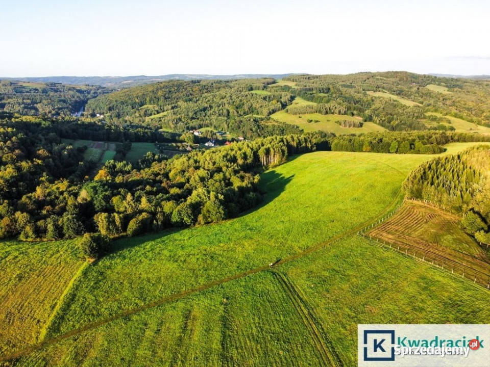 Grunt sprzedam Lutcza 44800m szambo