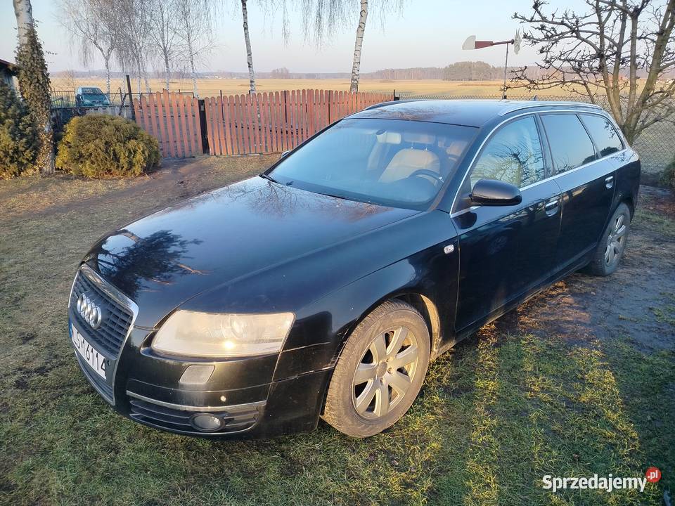 Audi A6 Rok produkcji 2005 Strusy
