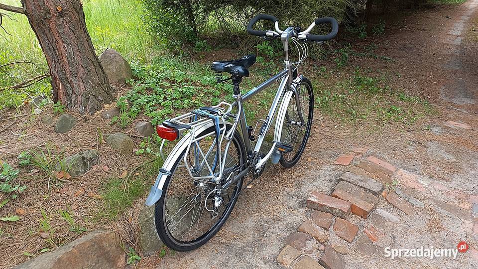 Alu Rower Miejski Męski Gazelle Fuente Plus V24